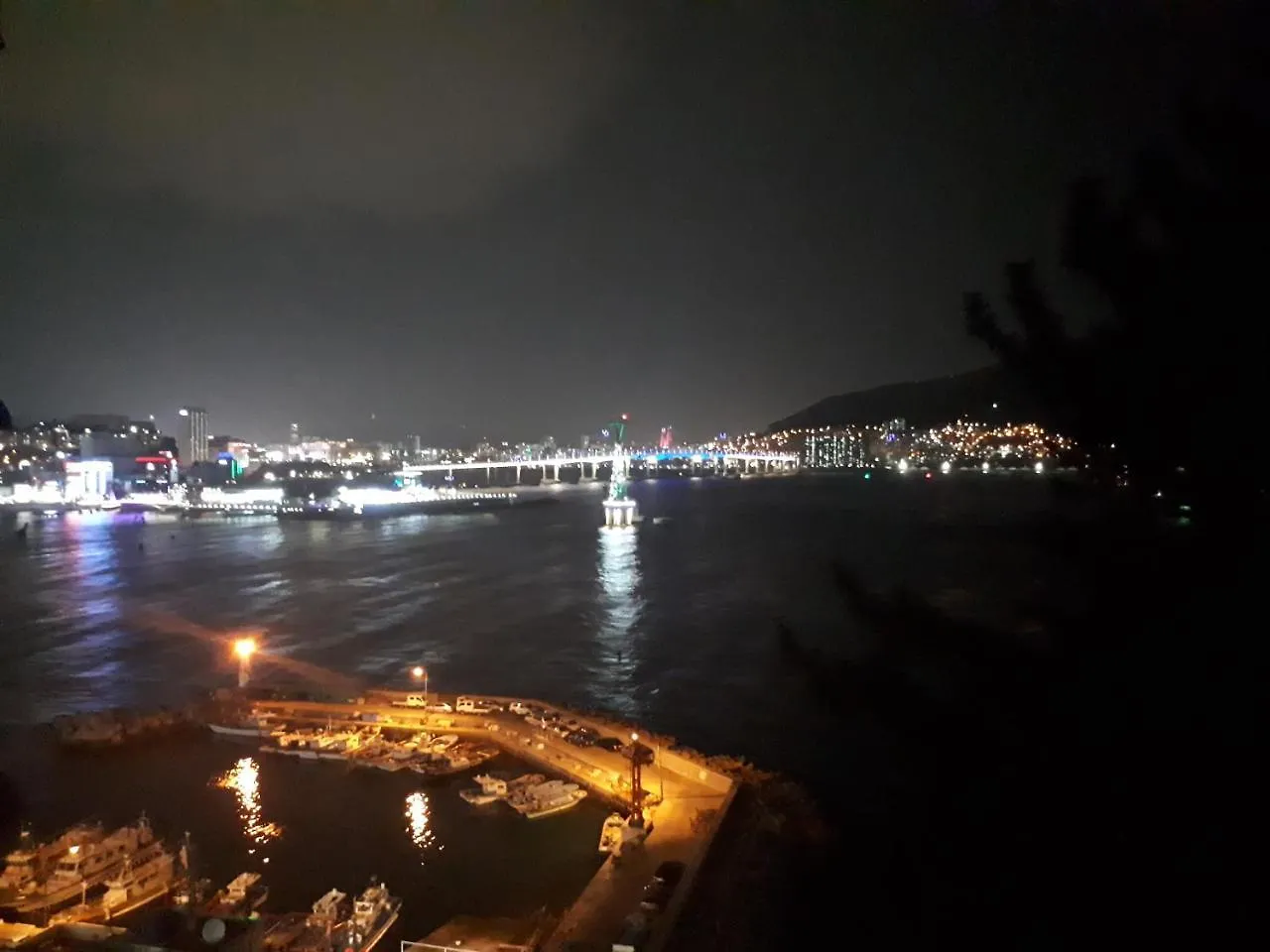 בוסאן Hotel Camelia